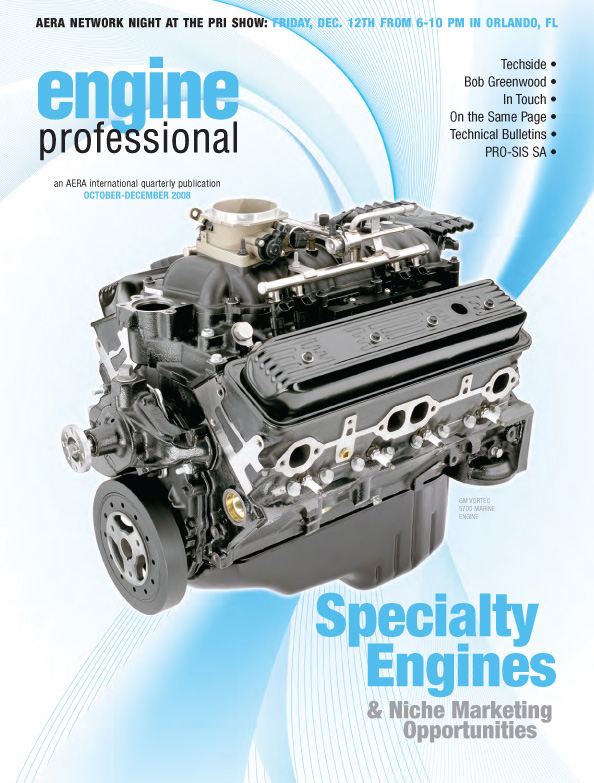 Engine Professional Q4 Oct-Dec 2008