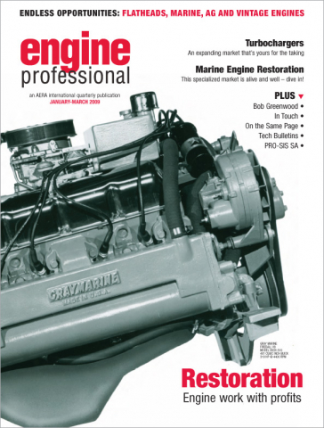 Engine Professional Q1 Jan-Mar 2009