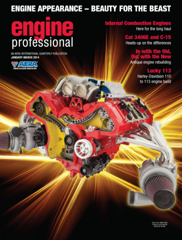 Engine Professional Q1 Jan-Mar 2014