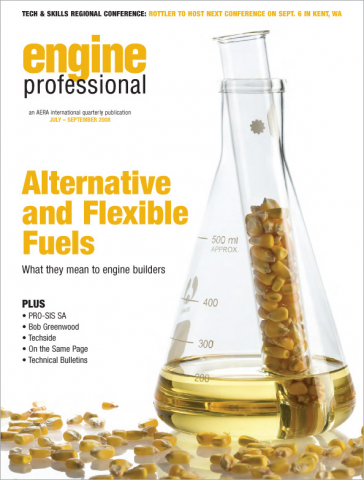 Engine Professional Q3 July-Sept 2008